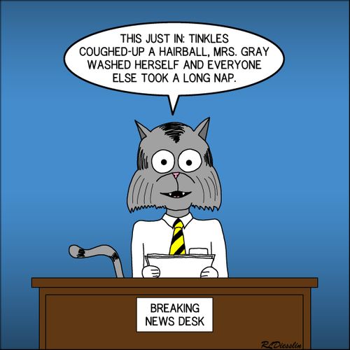 "This just in: Tinkles coughed-up a hairball, Mrs. Gray washed herself and everyone else took a long nap."