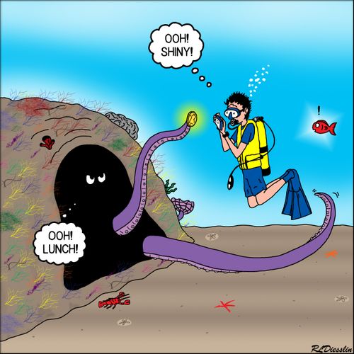 Octopus Diver Trap