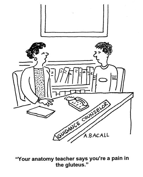 'Your anatomy teacher says you're a pain in the gluteus.'