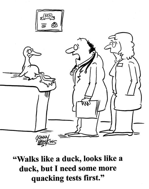 Doctor to nurse about duck: 'Walks like a duck, looks like a duck, but I need some more quacking tests first.'