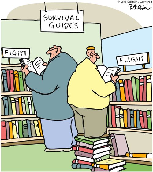 Survival Guides: Fight and Flight.