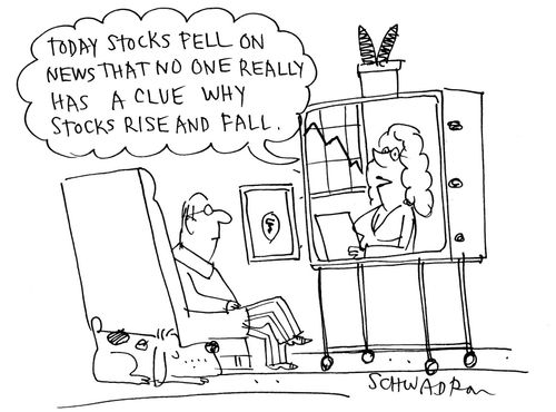 Today stocks fell on news that no one really has a clue why stocks rise and fall.  