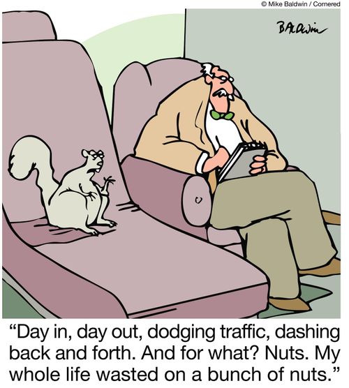 Day in, day out, dodging traffic, dashing back and forth. And for what? Nuts. My whole life wasted on a bunch of nuts.