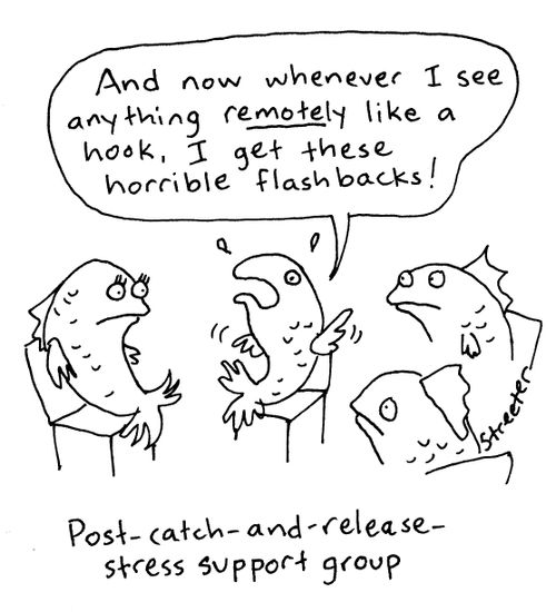 Fish - Catch and Release Stress