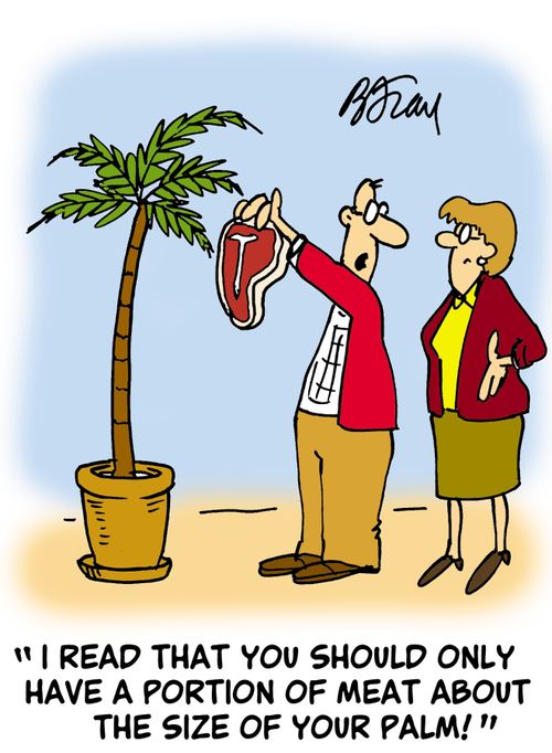 'I read that you should only have a portion of meat about the size of your palm!'