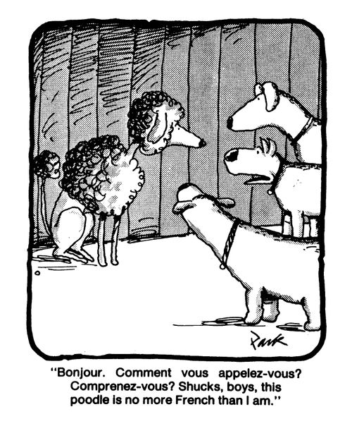 'Bonjour, Comment vous appelez-vous Comprenez-vous Shucks, boys, this poodle is no more French than I am,'