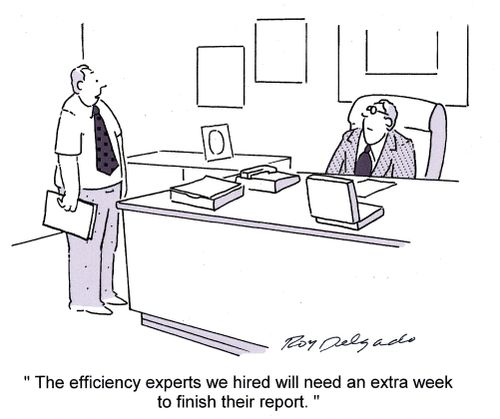 'The efficiency experts we hired will need an extra week to finish their report.'