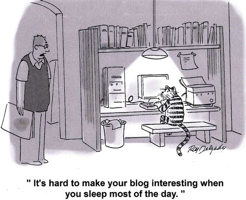 'It's hard to make you blog interesting when you sleep most of the day.'