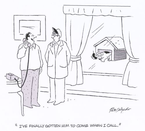 'I've finally gotten him to come when I call.'