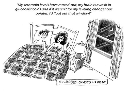 'My serotonin levels have maxed-out, my brain is awash in  glucocoriticoids and, if it weren't for my leveling endogenous  opiates, I'd float out that window!'