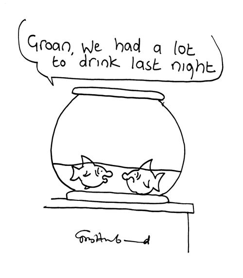 'We had a lot to drink last night.'