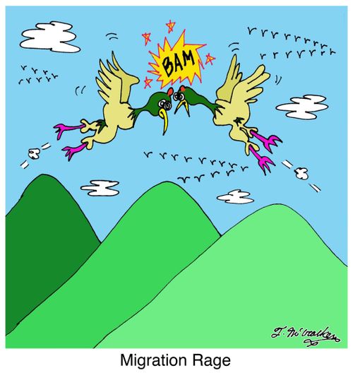 Migration Rage.