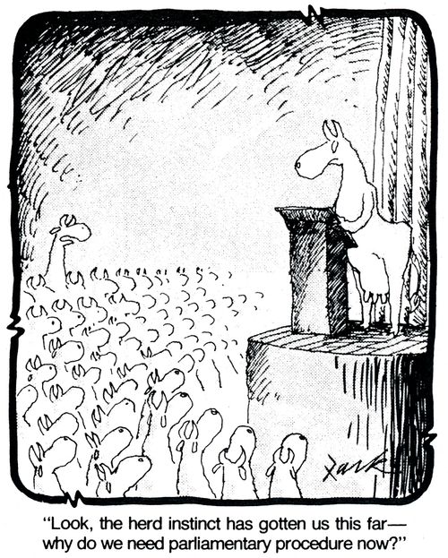 'Look, the herd instinct has gotten us this far - why do we need parliamentary procedure now?