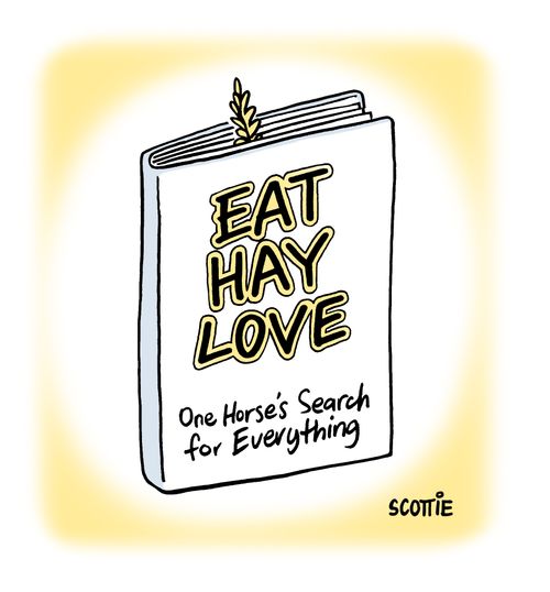 EAT HAY LOVE One Horse's Search for Everything