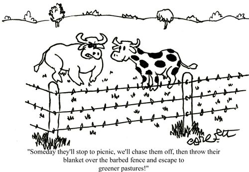 'Someday they'll stop to picnic, we'll chase them off, then throw their blanket over the barbed fence, and escape to greener pastures'  