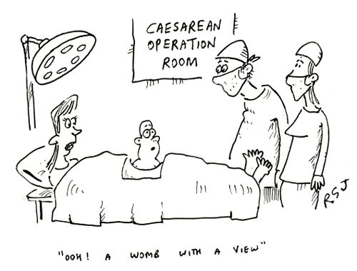 'ooh! A womb with a view.'