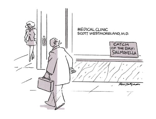 Catch of the Day: Salmonella.