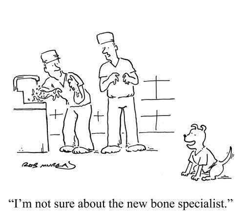 'I'm not sure about the new bone specialist.'