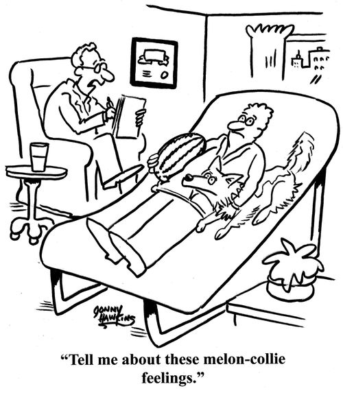 Doctor to patient: 'Tell me about these melon-collie feelings.'