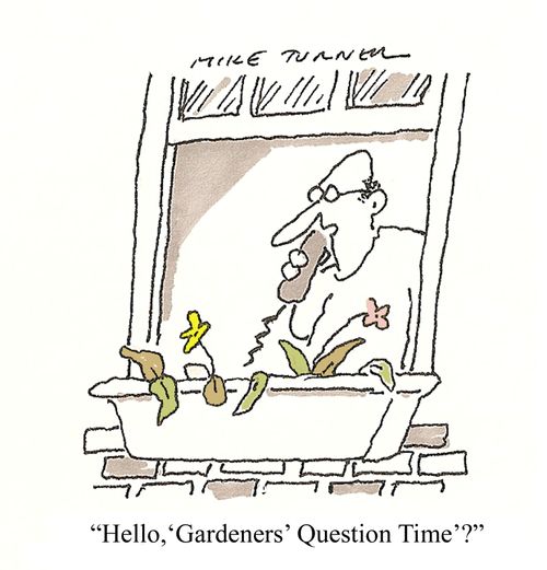 'Hello,'Gardeners' Question Time'?'
