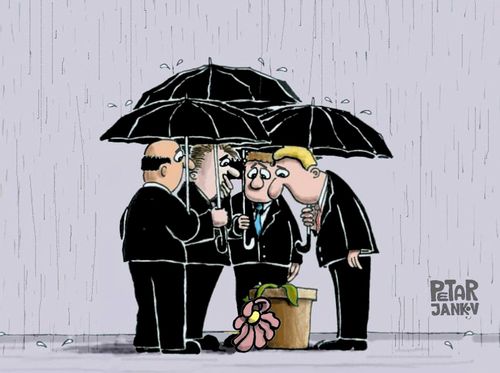 Compassion