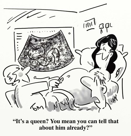 'It's a queen? You mean you can tell that about him already?'