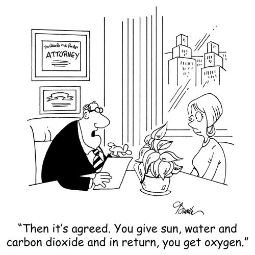 'Then it's agreed. You give sun, water and carbon dioxide and in return, you get oxygen.'