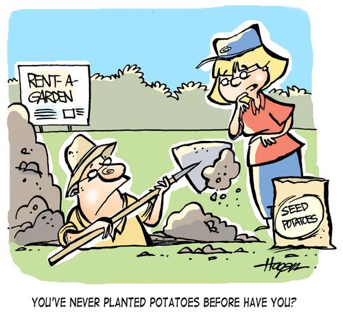 'You've never planted potatoes before have you?'