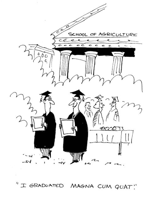 'I graduated magna cum quat.'