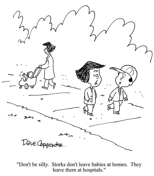 'Don't be silly. Storks don't leave babies at homes. They leave them at hospitals.'
