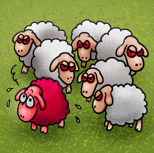Pink sheep