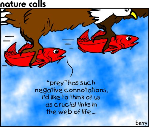 'Prey has such negative connotations. I'd like to think of us as crucial links in the web of life...'