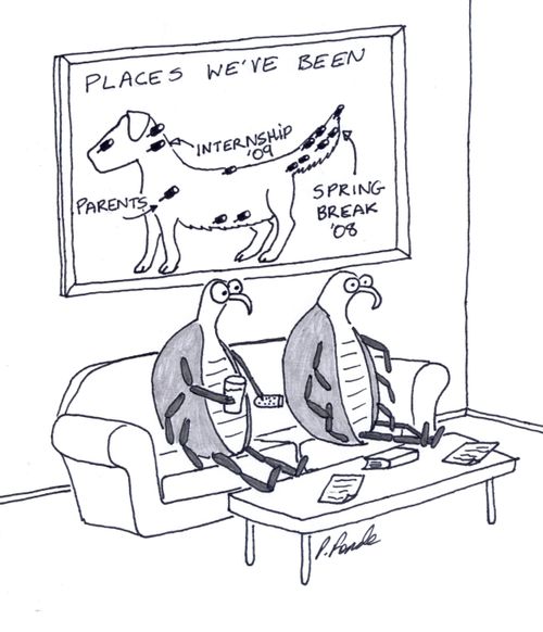 Places we've been on a dog
