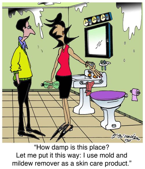 'How damp is this place? Let me put it this way: I use mold and mildew remover as a skin care product.'