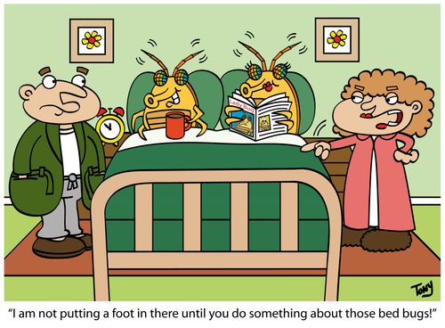 'I am not putting a foot in there until you do something about those bed bugs!'