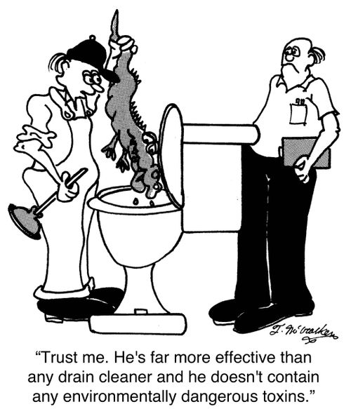 'Trust me. He's far more effective than any drain cleaner and he doesn't contain any environmentally dangerous toxins.'