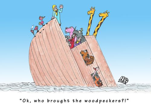 Meanwhile, back on the Ark... 'OK, who brought the woodpeckers?!'