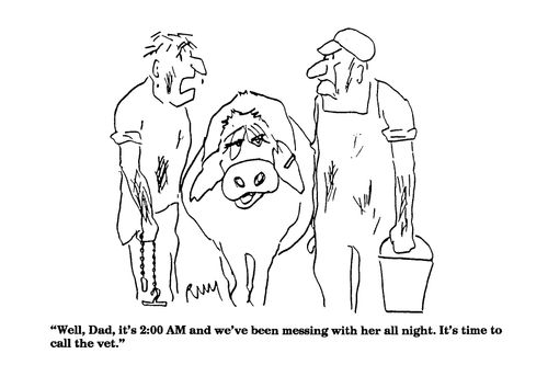 'Well, Dad, it's 2:00 AM and we've been messing with her all night...'