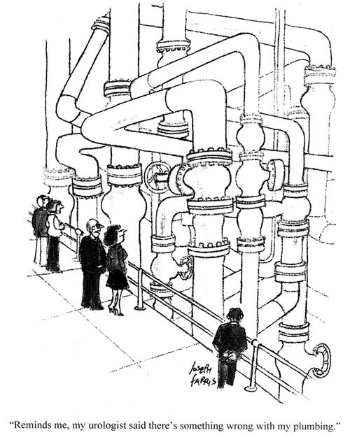 'Reminds me, my urologist said there's something wrong with my plumbing.'
