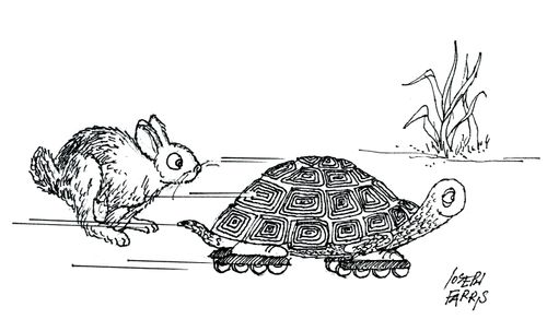 Tortoise and hair.
