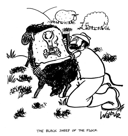 'The black sheep of the flock,'