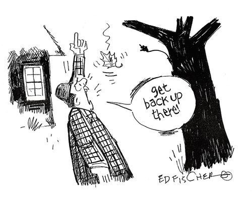 'Get back up there!'