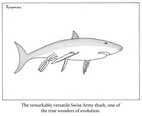 The remarkably versatile Swiss Army shark, one of the true wonders of evolution.