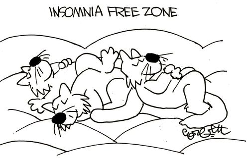 Insomnia Free Zone