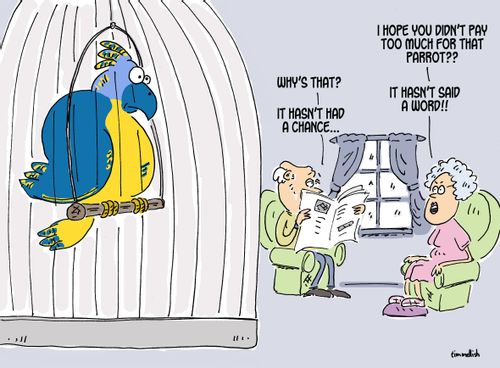 "I hope you didn't pay too much for that parrot. It hasn't said a word!"