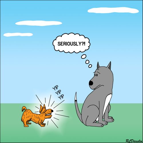 Little Dog Barking at a Large Dog