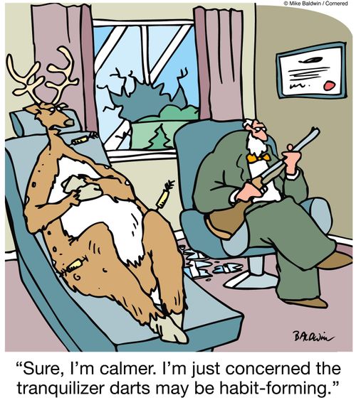 "Sure, I'm calmer. I'm just concerned the tranquilizer darts may be habit-forming."