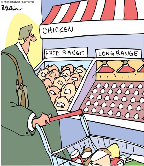 Chicken: Free Range/Long Range