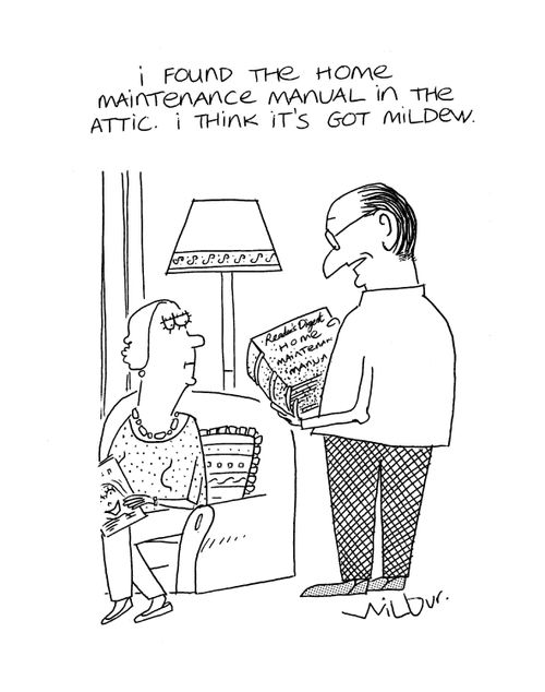 'I found the home maintenance manual in the attic. I think it's got mildew.'