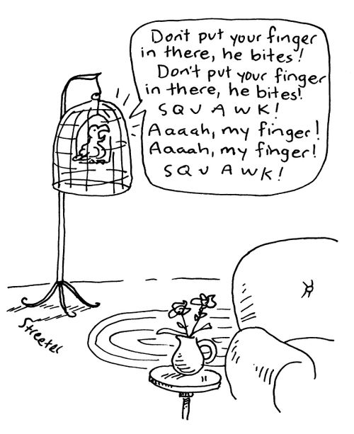 Parrot: 'Don't put your finger in there, he bites!'